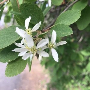 Meet your Posher, Joan